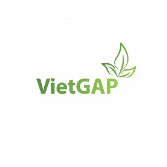 VietGAP